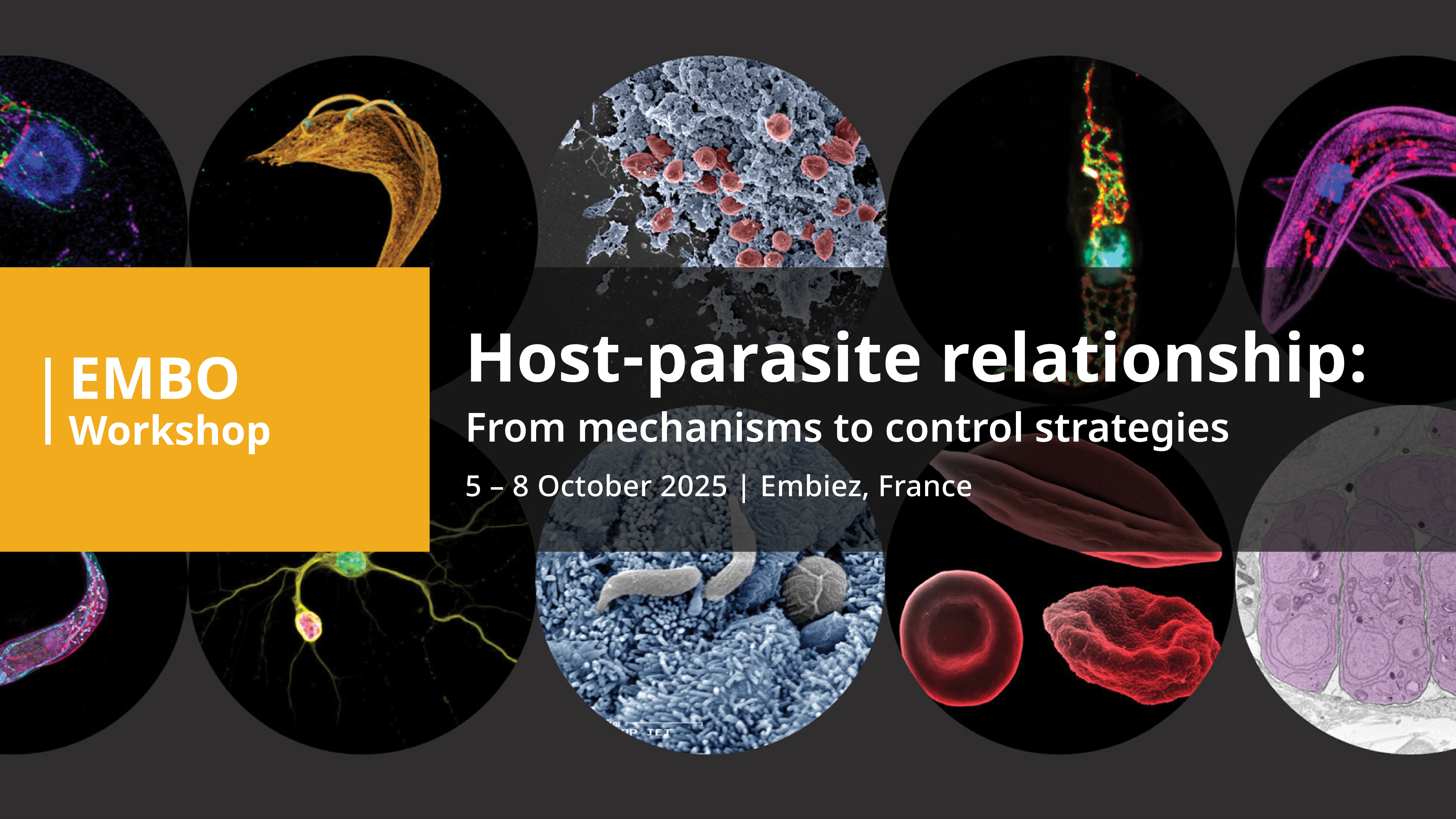 25 host parasite 04