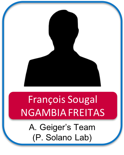 NgambiaFreitas Francois Sougal