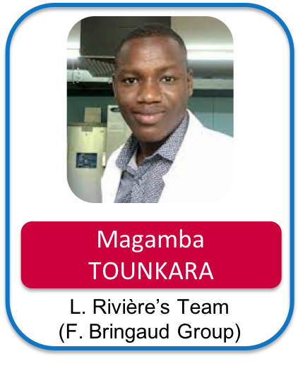 Tounkara magamba