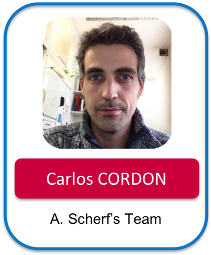 CORDON