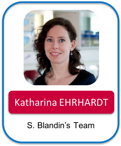 EHRHARDT