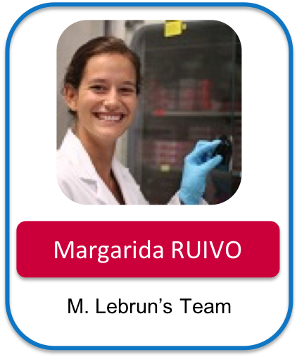 RUIVO