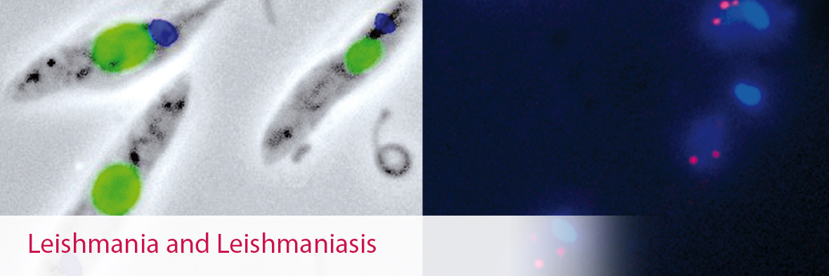 Leishmania and Leishmaniasis